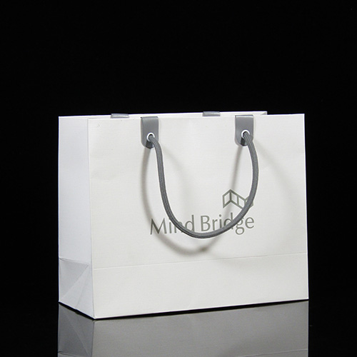 Paper Shopping Bags
